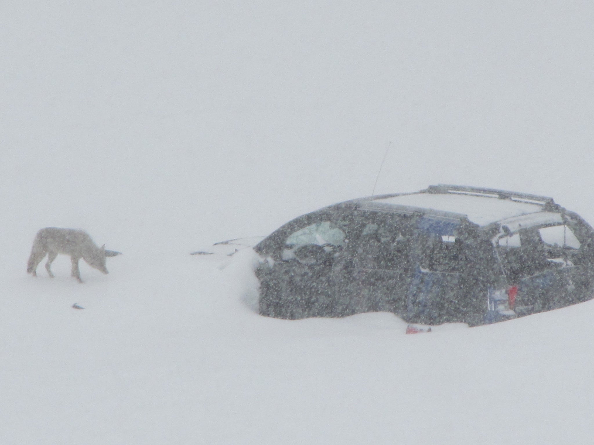 Getting paid to cycle to work