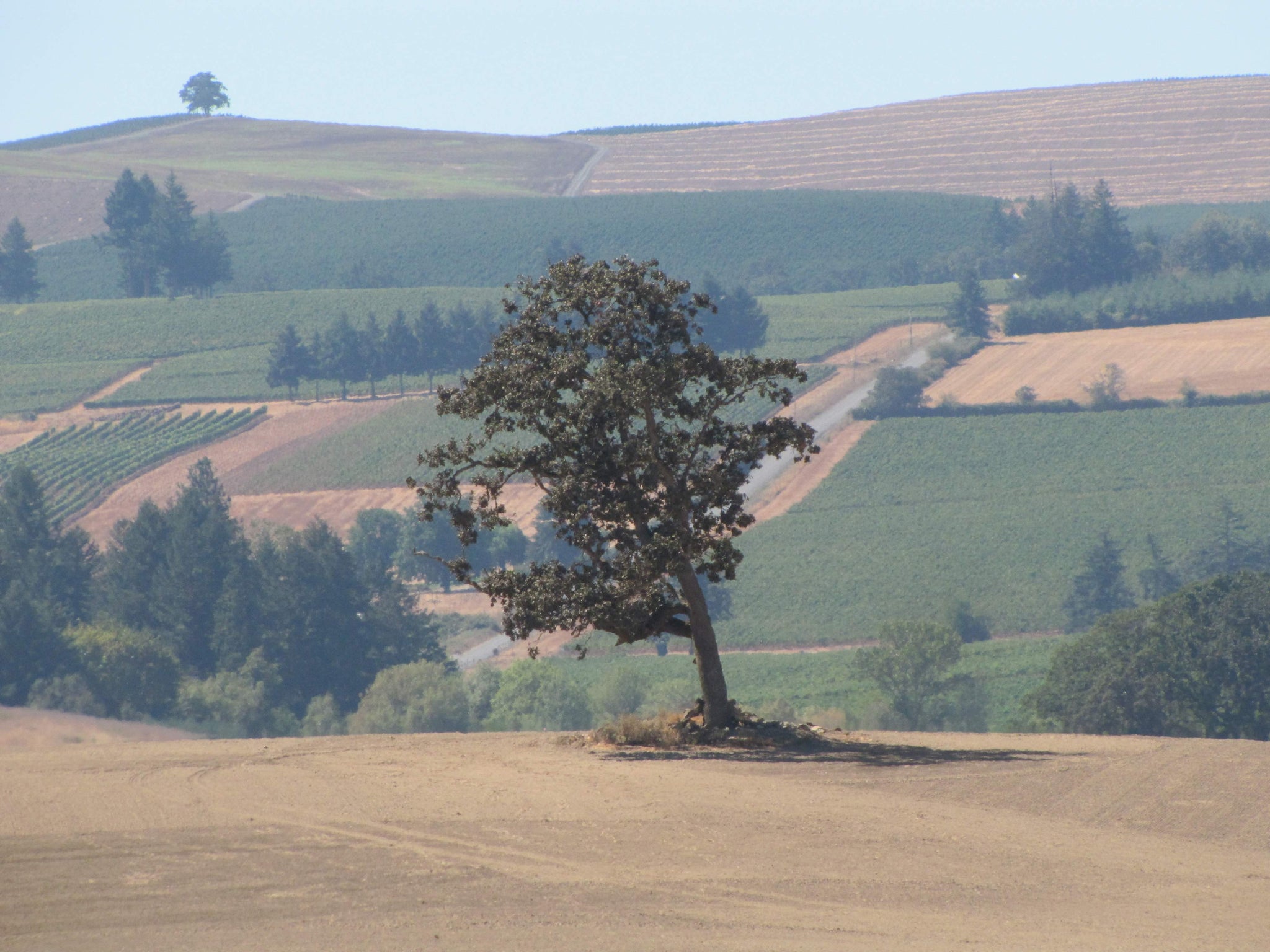 Mudroom Backpacks Partnerships and Collaborations