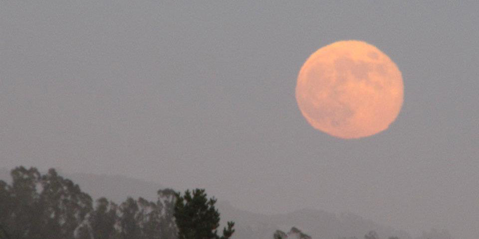 Mudroom Backpacks mentioned in the Rohnert-Park Patch online media publication.